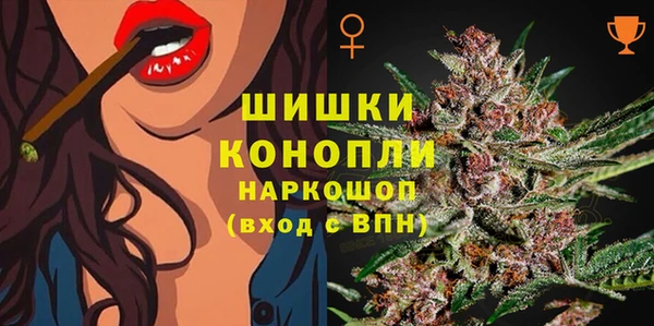 СК Алзамай