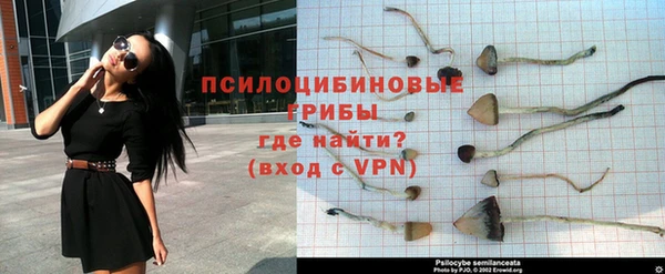 трава Осинники